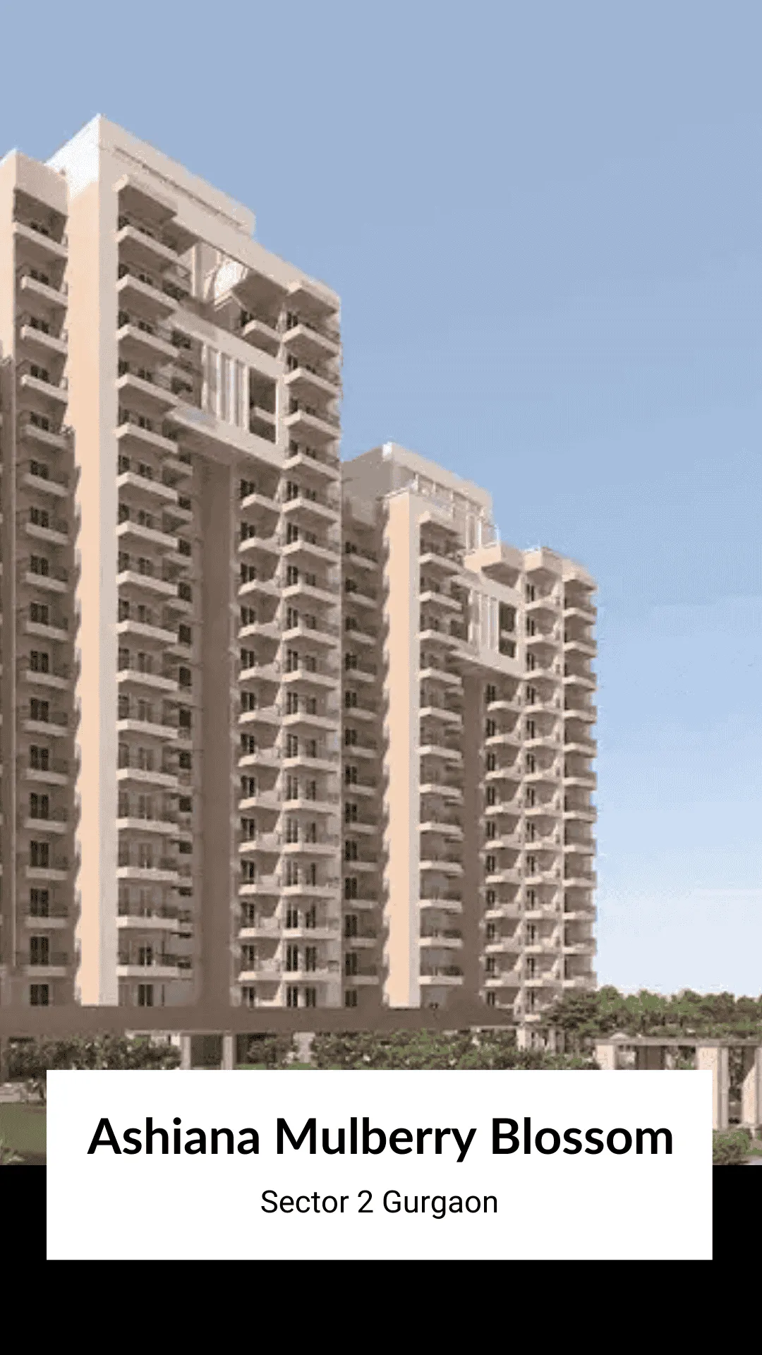 Ashiana Mulberry Blossom